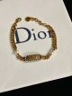 Dior Bracelet diorjw234204251-ym