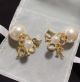 Dior earrings diorjw915-lz