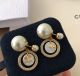 Dior earrings - Tribales diorjw916-lz