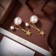 Dior Earrings - Dior Tribales diorjw3717090922-cs
