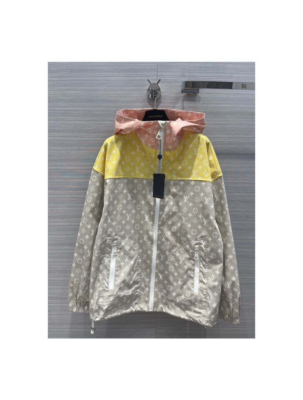 Shop Louis Vuitton 2021-22FW Louis vuitton 2054 colourblock hoodie (1A9GL7)  by ☆OPERA☆